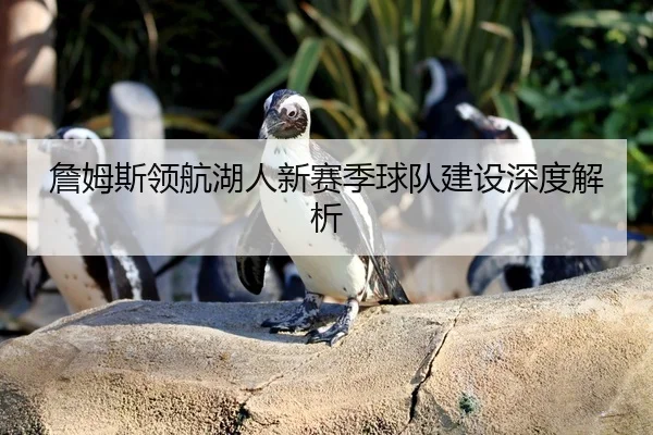 詹姆斯领航湖人新赛季球队建设深度解析